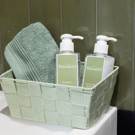 게스트하우스 Vesuvius115 나폴리